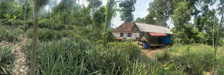 14 nagapuzha
